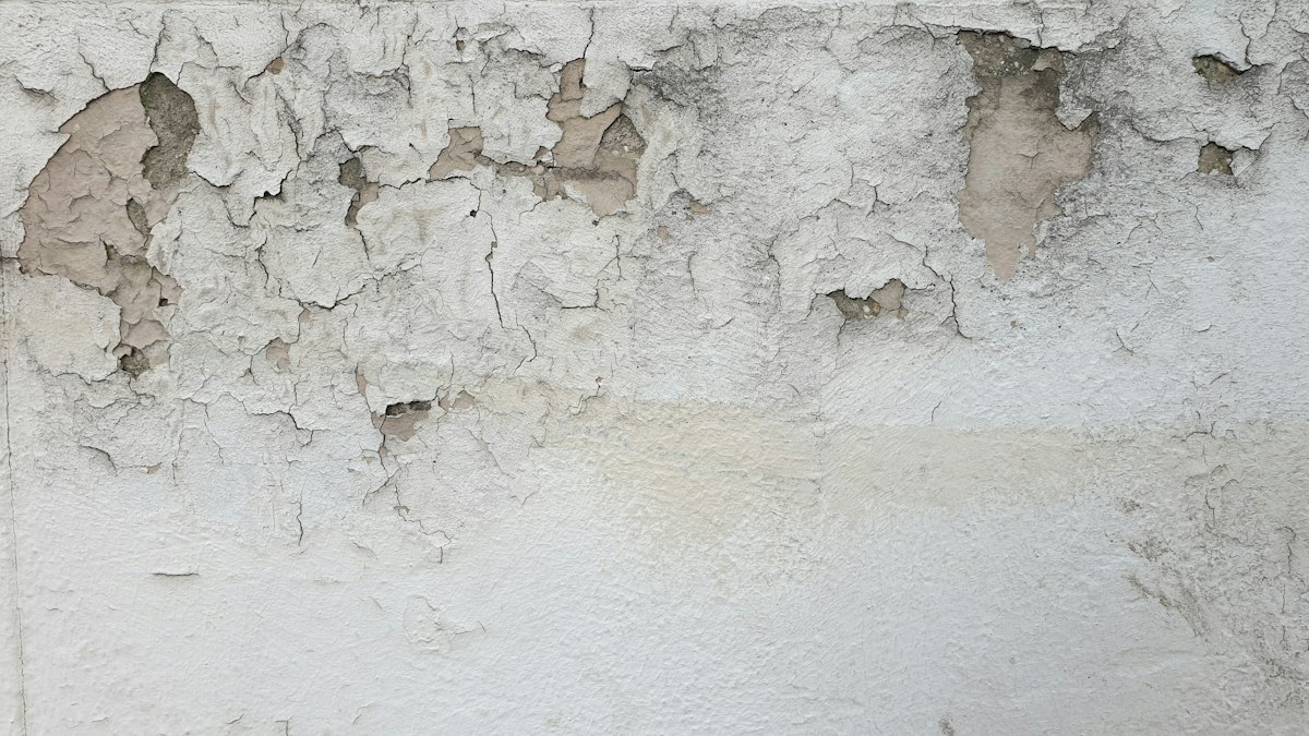 Damp and peeling paint on a wall