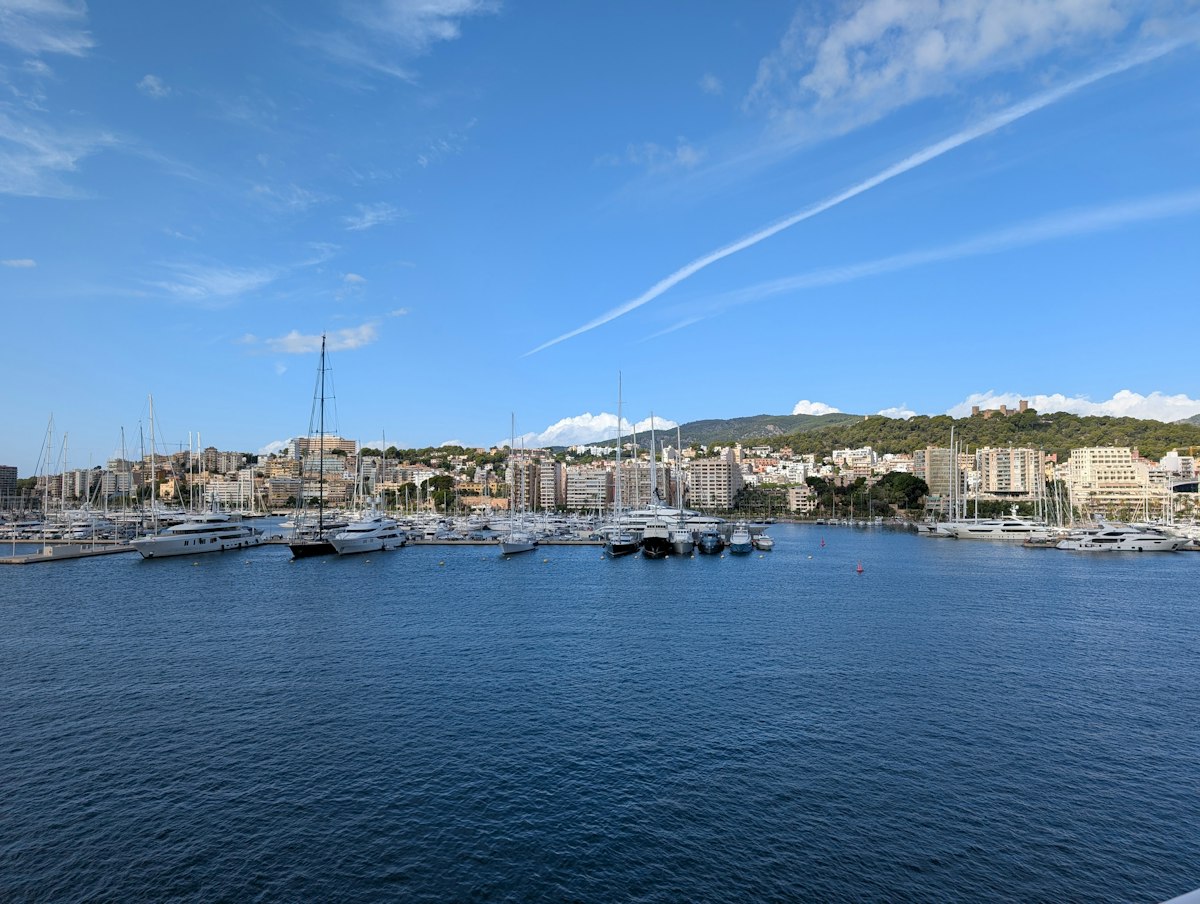 Boats moored in a marina